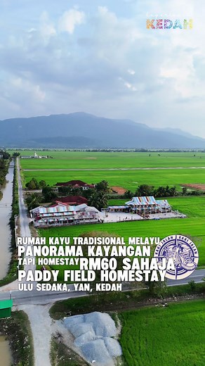Paddy Field Homestay: Tempat Menarik di Ulu Sedaka