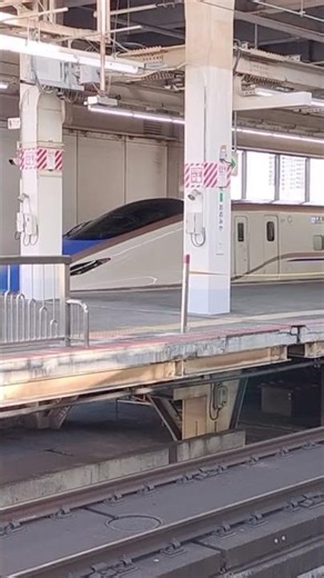 北陸新幹線 | 大宮駅 | W7系 | かがやき号 #北陸新幹線
