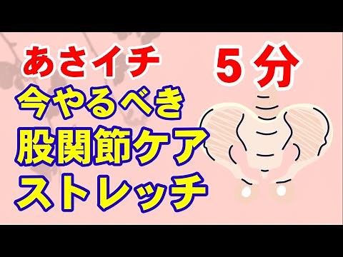 【NHKあさイチ】股関節ケア＆５分簡単ストレッチ