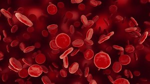 Red Blood Cells Flow Microscopic Scale Stock Footage Video (100% Royalty-free) 3493277081 | Shutterstock