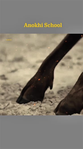 Woodwalkers Movie Explained In Hindi 🎬 #hollywood #movie #explain #hindi #explore | Saroj Majhi