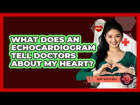 What Does An Echocardiogram Tell Doctors About My Heart? - Heart Health Daily