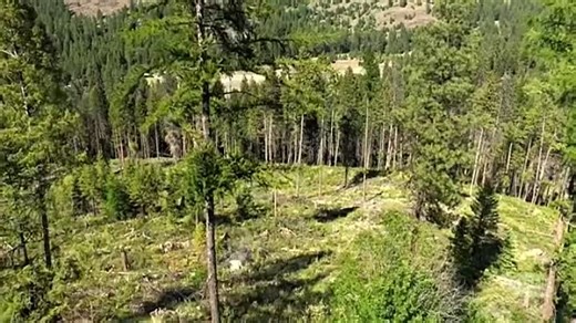 Cold Justice S06E06 ~ Out in the Cold (2021)