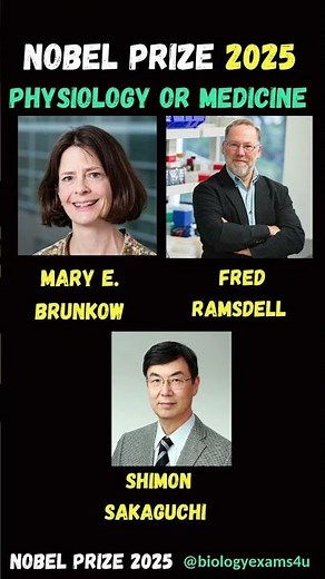 2025 Nobel Prize in Physiology or Medicine