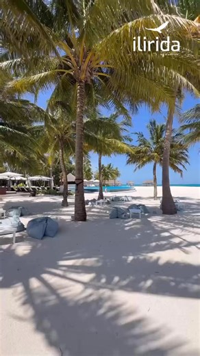 🌴 MALDIVE – Një parajsë ku qetësia flet dhe bukuria magjeps 🌊 Në zemër të Oqeanit Indian ndodhet një botë ku bluja nuk ka fund, ku dielli përkëdhel ujin kristal dhe çdo çast ndihet si luks i pastër. Maldive janë më shumë se një destinacion – janë një ndjesi që të mbetet gjatë. ☀️✨ 💦 Zgjohu mbi ujë, mes vilave elegante që duken sikur notojnë mbi det, dhe lëre mendjen të çlirohet nga çdo zhurmë. 💫 Perfekte për çifte romantike, për adhurues të qetësisë absolute dhe për këdo që kërkon një shkëpu