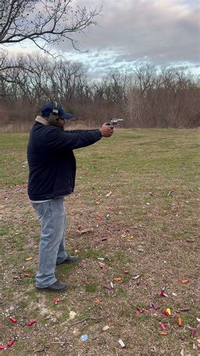 Ruger Redhawk Alaskan 454 Casull 250gr