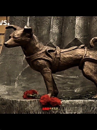 Laika: The Space Dog's Inspiring Journey