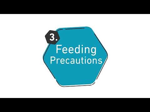 Instructions for Bolus Feeding