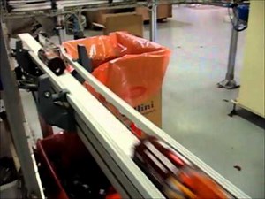 FlexLink conveyor system - PRL Tecnosoft