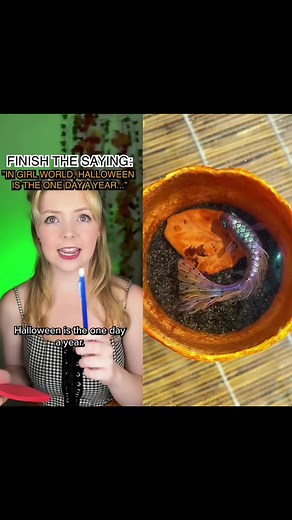 Part2. #pov #fyp #foryou #foryoupage #viral #anime #tiktok #parati #capcut