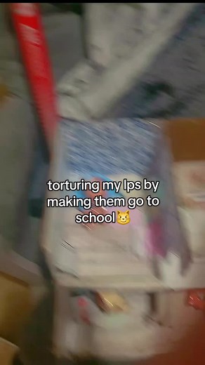 Bluestar_lps on TikTok