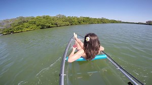 94K views · 809 reactions | It's really just the latest web ad for SeeThroughCanoe.com, but that doesn't make it any less awesome! Watch as we encounter a huge sea turtle under the canoe, playful dolphin swimming back & forth beneath the canoe, curious & friendly manatees checking out the See Through Canoe, a fever of rays swimming with it & much more. | See Through Canoe | Facebook