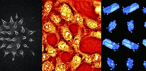 Vers un microscope optique universel « tout-en-un » ?