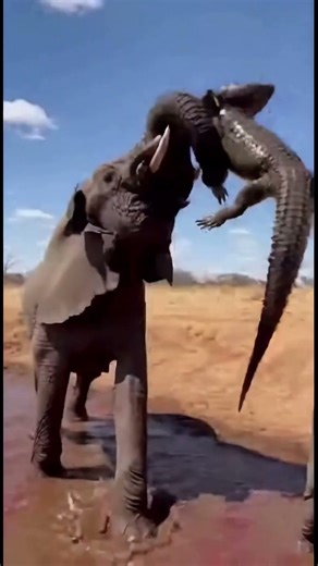 This mother saw her baby in danger...What she did next left everyone speechless. 😭