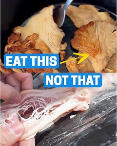 18K views · 817 reactions |  FOOD ALERT: Dr. Gundry Reveals Which...