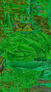 915K views · 3.1K reactions | One Meow And She’s A Cat! Naughty Kitty Magic!  #funny #creative #prank | JOON | Facebook