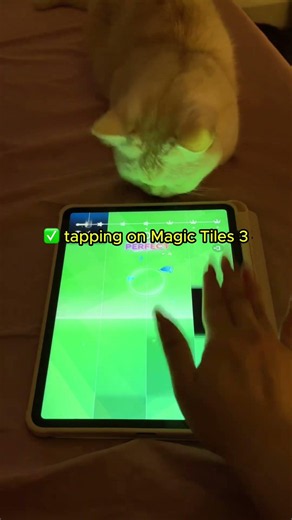 Try with your Magic Tiles 3, cats gonna love it!