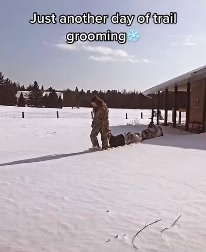 Discovering the True Lyrics of the 'Hi Ho' Song