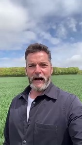 3.9M views · 15K reactions | Our ❤️s melted a thousand times over when George and Les walked in to the #FirstDates restaurant. Two more adorable people you simply couldn't wish to meet. See for yourself... | First Dates | Facebook