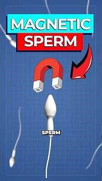 Scientists Create Spermbot to Deliver Medicine