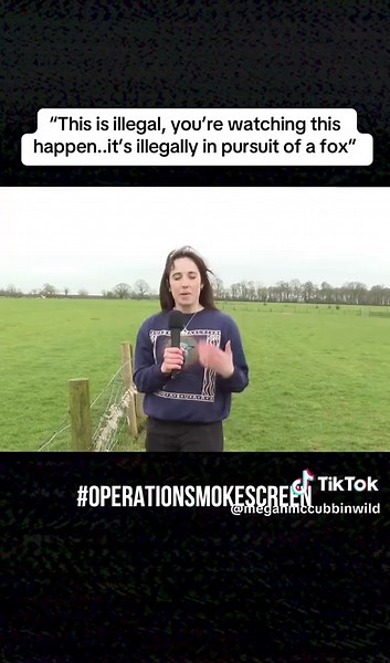 The Cruelty of Fox Hunting in the UK