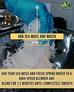 295 reactions · 112 shares | Want to know how to make Premium Gold Sea Moss gel in less than 1 minute? Let us show you how. :)  | Plant-Based Jeff | Facebook