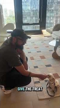 How to Bond with a Distant Dog (Fast & Easy) #dogpsychology