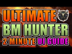 BM HUNTER | ULTIMATE UI GUIDE | WOW 9.2.5 | SALTII USER INTERFACE