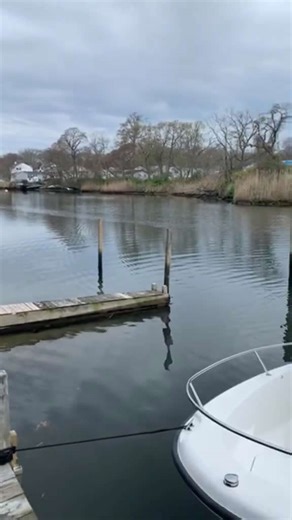 The Icon A5 SCREAMS If Hobby ever re-releases this plane I’m 100% buying another and keeping it nice. Hopefully they give it flaps and retracts