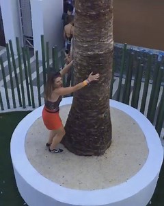 when you're at the party and you think you're a koala on the magic island | Secret Society