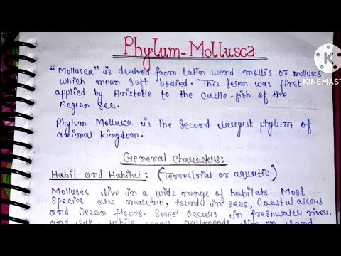 Phylum Mollusca | General Characteristics Of Phylum Mollusca | BSc 1st Year | Zoology 1st Semester |