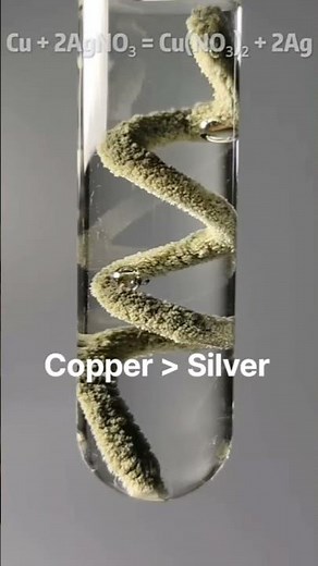 Copper–Silver Nitrate Displacement Reaction #experiment