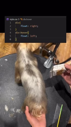 Nestor Guy Gnanga on Instagram: "float left and right 😅👨🏾‍💻👩🏽‍💻 #coding #htmlcss #devweb"