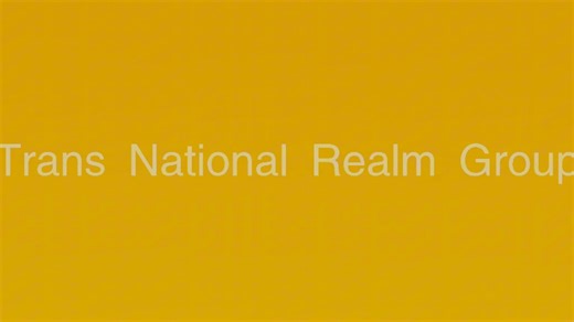 自媒体相关 新传媒TNR天南国际机构宣传片公布！