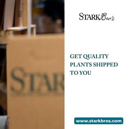 4.5K views · 20 reactions | Let the planting begin!  ➡️ Shop over 100 discounted fruit trees, berry plants, garden plants and more here: https://www.starkbros.com/tags/spring-planting-sale?promo=true | Stark Bro's Nurseries | Facebook