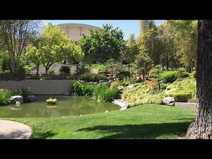 Cal Poly Pomona Japanese Garden and Fishes