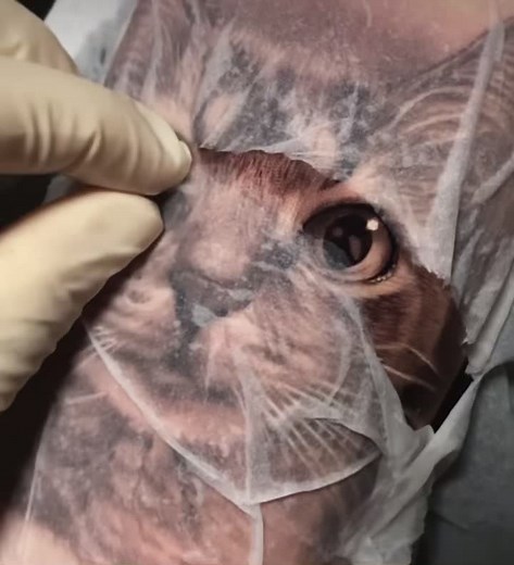Realistic Cat Face Tattoo Demonstration in Studio