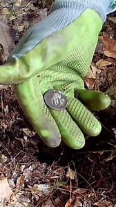 Short #173 - SLQ, metal detecting with the Nokta Makro Simplex. #metaldetecting