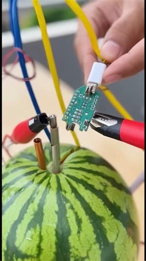 Watermelon Se iPhone Charge 😳🍉