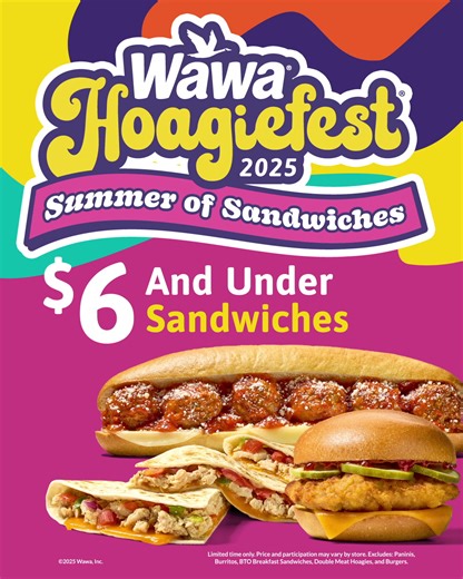 447 reactions · 31 shares | Hoagiefest is BACK. No longer JUST hoagies, it’s a sandwich summer  | Wawa | Facebook