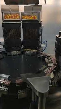 NJP-3800D Fully auto Capsule Filling Machine