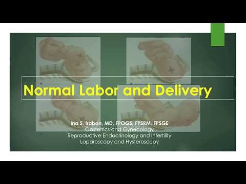 normal labor and delivery