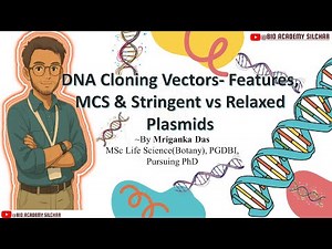 DNA Cloning Vectors Explained | Features, Multiple Cloning Sites & Stringent vs Relaxed Plasmids