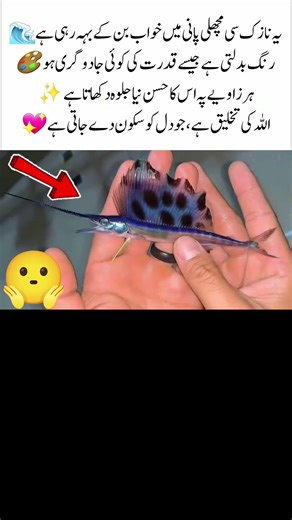 )✨ The Magical Color-Changing Fish | Nature’s Underwater Beauty 🌊🐠