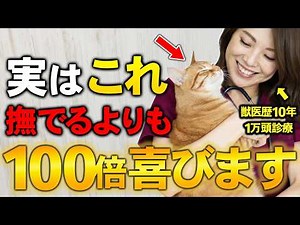 猫が泣くほど幸せを感じる飼い主の行動7選【獣医師が解説】