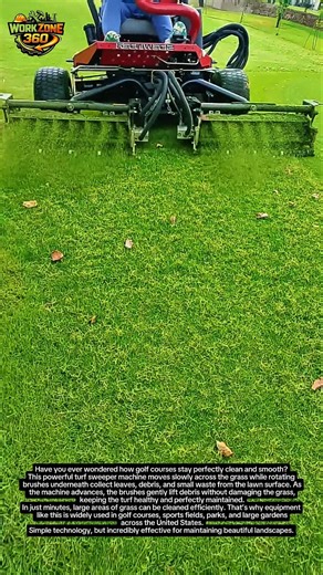 Satisfying Lawn Cleaning Machine #shorts #lawncare #machines