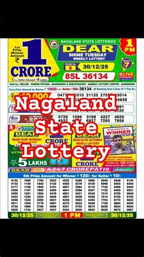 Dear Shine Tuesday Lottery Result | 30 December 2025 |Nagaland State Lottery |1 PM.#lottery #shorts