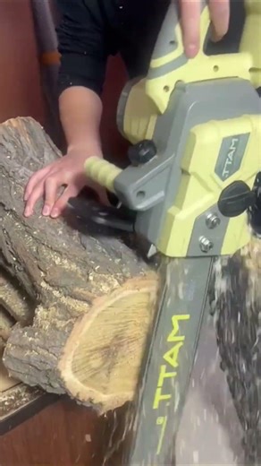 Tree wood slices cutting in chain saw cutter