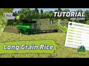 How to Grow Long Grain Rice - A Farming Simulator 25 Tutorial