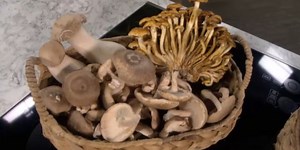 Consumer Reports: Mushroom health benefits